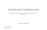 Gestión por Competencias Sistema de Aprendizaje Permanente en la Industria Azucarera Leonard Mertens OIT- México CIF-Turín, Junio 2009.