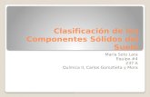 Clasificación de los Componentes Sólidos del Suelo María Soto Lara Equipo #4 237 A Química II, Carlos Goroztieta y Mora.