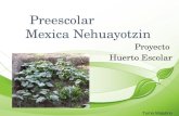 Preescolar Mexica Nehuayotzin Proyecto Huerto Escolar Turno Matutino.