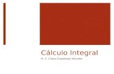 Cálculo Integral M. C. Liliana Guadalupe Salvador.