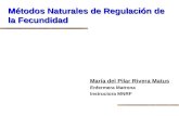 Métodos Naturales de Regulación de la Fecundidad María del Pilar Rivera Matus Enfermera Matrona Instructora MNRF.
