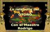 Lo relajante del OTOÑO Con el Maestro Rodrigo Lo relajante del OTOÑO Con el Maestro Rodrigo Tema musical: Adagio Concierto De Aranjuez Tema musical: Adagio.