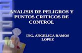 ANALISIS DE PELIGROS Y PUNTOS CRITICOS DE CONTROL ING. ANGELICA RAMOS LOPEZ.