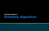 Francisco Bonilla A..  Funciones del Sistema Digestivo:  Encargados del proceso de la digestión.  Transporte de los alimentos.  Secreción de jugos.