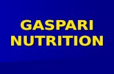 GASPARI NUTRITION. Suplementos Nutricionales La suplementación nutricional es hoy fundamental para una nutrición adecuada. La suplementación nutricional.