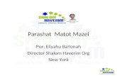 Parashat Matot Mazei Por: Eliyahu BaYonah Director Shalom Haverim Org New York.