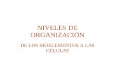 NIVELES DE ORGANIZACIÓN DE LOS BIOELEMENTOS A LAS CÉLULAS.