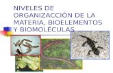NIVELES DE ORGANIZACCIÓN DE LA MATERIA, BIOELEMENTOS Y BIOMOLÉCULAS.