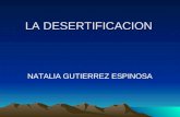 LA DESERTIFICACION NATALIA GUTIERREZ ESPINOSA. ¿Qué es la desertificación? Es un proceso de degradación ecológica en el que el suelo fértil y productivo.