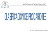 BIOLOGÍA DE PROCARIOTAS Ciclo Escolar 12-13B Mónica Marcela Galicia Jiménez.