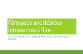 Fármacos anestésicos intravenosos fijos VICTOR MAURICIO LEÓN SERPA, MVZ, ESP SANIDAD ANIMAL.
