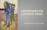 Espinoza Flores Erandy Lorena.  Diagnostico diferencial 1. Trastornos mentales de causa orgánica  Demencia  Alteraciones mentales producidas por drogas.