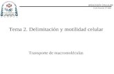 BIOLOGÍA CELULAR Ciclo Escolar 07-08B Tema 2. Delimitación y motilidad celular Transporte de macromoléculas.