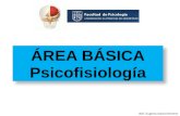 ÁREA BÁSICA Psicofisiología ÁREA BÁSICA Psicofisiología Biól. Eugenio García Romero.