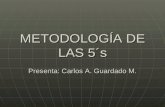 METODOLOGÍA DE LAS 5´s Presenta: Carlos A. Guardado M.