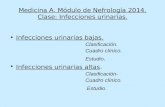 Medicina A. Módulo de Nefrología 2014. Clase: Infecciones urinarias. Infecciones urinarias bajas. Clasificación. Cuadro clínico. Estudio. Infecciones urinarias.