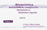 BIOQUIMICA: Integración Metabólica: Diabetes Aguda Bioquímica  Dra. Silvia Varas bioquimica.enfermeria.unsl@gmail.com Tema:10 2015.