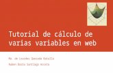 Tutorial de cálculo de varias variables en web Ma. de Lourdes Quezada Batalla Ruben Darío Santiago Acosta.