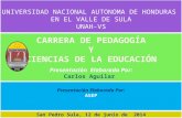 San Pedro Sula, 12 de junio de 2014. La Carrera de Pedagogía y Ciencias de la Educación, cuya función primordial es formar los profesionales en el campo.