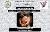 UNIVERSIDAD SAN PEDRO FILIAL TRUJILLO ESCUELA DE PSICOLOGÍA SEGUNDA TITULACIÓN EN PSICOLOGÍA NEUROFISIOLOGÍA Dr. Violeta Celinda Celis Silvia Tolentino.