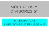 MÚLTIPLOS Y DIVISORES 5º MATEMÁTICAS LUIS GONZALO PULGARÍN R.