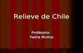 Relieve de Chile Profesora: Yedra Muñoz. RELIEVE DE CHILE Fuerzas endógenas + Fuerzas exógenos= Fuerzas endógenas + Fuerzas exógenos= RELIEVE RELIEVE.