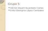Grupo 5 Héctor Oqueli Guardado Carías Erika Georgina López Canizales.