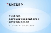 Dr. Daniel E. Espinoza Cruz. I. OBJETIVO GENERAL DE LA ASIGNATURA Adquirir el conocimiento integrado del desarrollo embrionario, constitución macroscópica.
