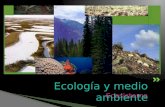 Ecosistema Ecología y medio ambiente.  Un ecosistema es una comunidad de especies que interactúan entre si, de la misma manera este tiene relación con.