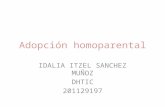 Adopción homoparental IDALIA ITZEL SANCHEZ MUÑOZ DHTIC 201129197.