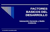 FACTORES BASICOS DEL DESARROLLO Interacción Herencia y Medio Ambiente LIC. WALTER R. SAAVEDRA LOPEZ.