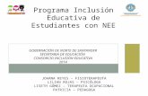 Programa Inclusión Educativa de Estudiantes con NEE GOBERNACIÓN DE NORTE DE SANTANDER SECRETARIA DE EDUCACIÓN CONSORCIO INCLUSIÓN EDUCATIVA 2014 JOHANA.