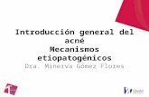 Introducción general del acné Mecanismos etiopatogénicos Dra. Minerva Gómez Flores.