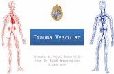 Trauma Vascular Presenta: Dr. Manuel Manzor Véliz Tutor: Dr. Michel Bergoeing Reid Octubre 2014.