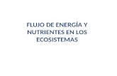 FLUJO DE ENERGÍA Y NUTRIENTES EN LOS ECOSISTEMAS.