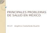 PRINCIPALES PROBLEMAS DE SALUD EN MÉXICO M.S.P. Angélica Castañeda Duarte.