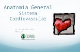 Anatomía General Sistema Cardiovascular Dr. Francisco Soto Murillo.
