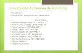 Universidad Autónoma de Honduras  Grupo # 2 Composición bioquímica del periodonto Integrantes  Andrea Melissa Mejia 20132002057  Esmeralda Archaga 20112001578.