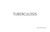 TUBERCULOSIS Tania Landin Ramirez. ETIOLOGIA M. tuberculosis M. bovisM. africanum M. microtiM. canetti.