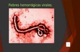 Fiebres hemorrágicas virales. Introducción:  Las fiebres hemorrágicas virales son un problema debido a que, como lo dice su nombre, provocan hemorragias.