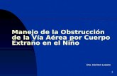 1 Manejo de la Obstrucción de la Vía Aérea por Cuerpo Extraño en el Niño Dra. Carmen Lozano.