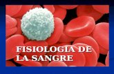 FISIOLOGIA DE LA SANGRE. HEMOPOYESIS DEFINICION: Proceso dinámico células stem microambiente definido por medio de citoquinas inducidas a proliferar.