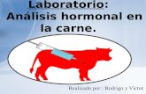 Realizado por : Rodrigo y Víctor. Práctica de Laboratorio: Análisis hormonal en la carne.