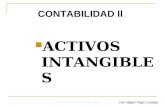 ACTIVOS INTANGIBLES Universidad Nacional de Lujan Cdor Miguel Ángel Castiglia CONTABILIDAD ll.