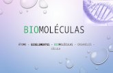 BIOMOLÉCULAS BIOELEMENTOS ÁTOMO – BIOELEMENTOS – BIOMOLÉCULAS – ORGANELOS – CÉLULA.