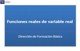 Funciones reales de variable real Dirección de Formación Básica.