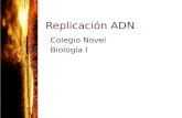 Replicación ADN Colegio Novel Biología I. Replicación de ADN Proceso que permite al ADN duplicarse (es decir, sintetizar una copia idéntica).