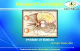 Neurooftlamologia Módulo de Básicas Centro Cardio-Neuro-Oftalmológico y Trasplante Dr. Gerson Vizcaíno López.