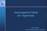 Neutropenia Febril en Urgencias Antonio Plata Servicio Enfermedades Infecciosas.