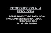 INTRODUCCIÓN A LA PATOLOGIA DEPARTAMENTO DE PATOLOGIA FACULTAD DE MEDICINA. UNAH. II Semestre 2014 Dr. Nicolás Sabillon.